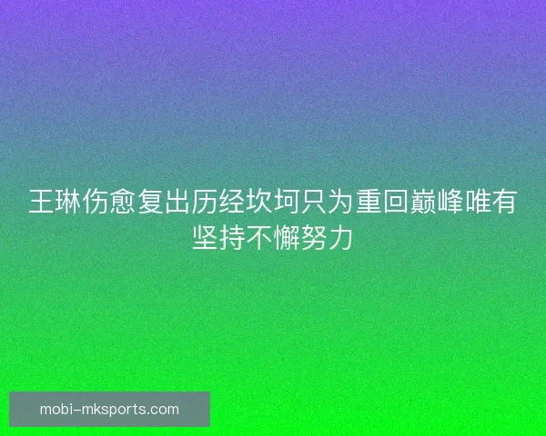 王琳伤愈复出历经坎坷只为重回巅峰唯有坚持不懈努力 王琳伤愈复出历经坎坷只为重回巅峰唯有坚持不懈努力