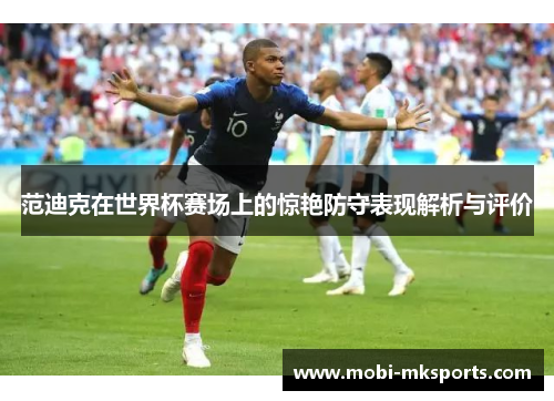 范迪克在世界杯赛场上的惊艳防守表现解析与评价