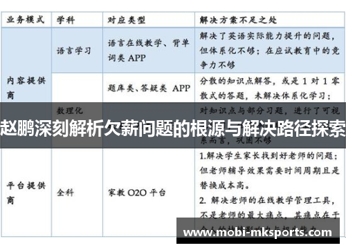 赵鹏深刻解析欠薪问题的根源与解决路径探索