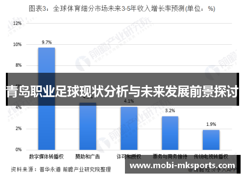 青岛职业足球现状分析与未来发展前景探讨