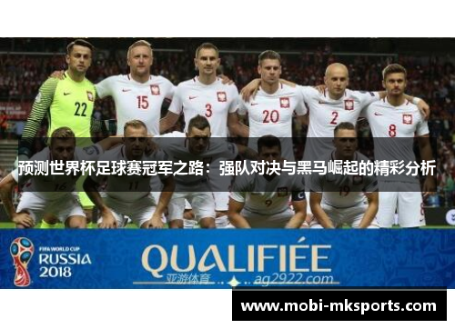 预测世界杯足球赛冠军之路：强队对决与黑马崛起的精彩分析